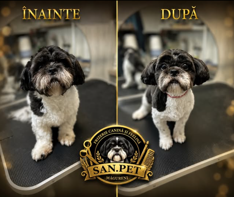 Transformare înainte și după — SAN.PET Măgureni, foto 2
