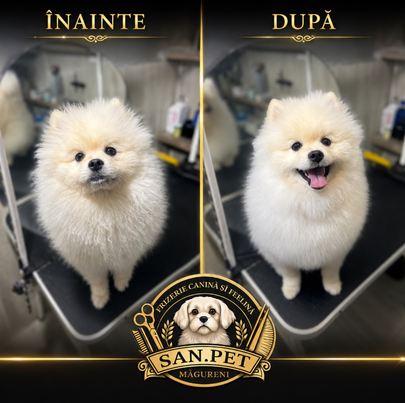 Transformare înainte și după — SAN.PET Măgureni, foto 4
